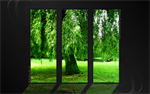Fond d'écran gratuit de Nature & forêt - Arbres numéro 62267